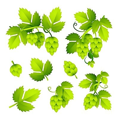 EPS 해외이미지 식물 디자인 배너 계절 꽃 포스터 음식 백그라운드 컨셉 잎 패턴 일러스트 맥주 그래픽 초록색 세트 컬러풀 라벨 수확 흰색 나뭇가지 신선 소나무 만화 수집 심볼 오브젝트 사인 유기농 원뿔 고립 양조장 엘리먼트 현실 해외일러스트 도형 나무 웰빙 컬러 무늬 농업 프레임 주류 파일형식 벡터 이미지허브