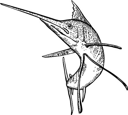 EPS 해외이미지 일러스트 흑백 어류 그래픽 점프 수영 인쇄 복고 판화 목판화 해외일러스트 모션 촬영기법 미술 수중동물 수상스포츠 파일형식 벡터 이미지허브