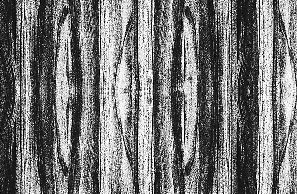 EPS 해외이미지 디자인 선 벽 백그라운드 패턴 일러스트 자연 벽지 탁자 표면 날씨 추상 바닥 목재 장식 울타리 검은색 고통 수확 흰색 시골 판넬 거친 널 낟알 책상 고민 질감 복고 덮기 나무껍질 잡동사니 내추럴 그런지 수목 엘리먼트 옛날 파케트 해외일러스트 나무 감정 컬러 가구 무늬 농업 재료 모션 담장 껍질 생태계 파일형식 벡터 이미지허브