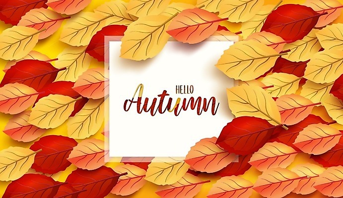 EPS 해외이미지 손글씨 단풍 낙엽 일러스트 사람없음 노란색 가을 가득함 가을배경 해외일러스트 계절 컬러 백그라운드 잎 파일형식 벡터 가을_계절 이미지허브