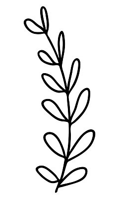 EPS 해외이미지 식물 디자인 배너 꽃 결혼 백그라운드 잎 꽃무늬 일러스트 자연 추상 휴가 미술 그래픽 장식 여름 검은색 봄 수확 나뭇가지 신용카드 낙서 인쇄 스케치 심볼 싱글 에코 유기농 복고 심플 윤곽 초대 손그림 고립 생태학 엘리먼트 해외일러스트 나무 웰빙 계절 교육 컬러 무늬 농업 문화예술 이벤트 금융 환경 생태계 파일형식 벡터 이미지허브