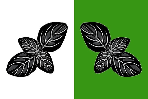 EPS 해외이미지 식물 디자인 실루엣 종이 음식 잎 꽃무늬 채소 일러스트 포장 자연 요리 세트 약 라벨 정원 검은색 샐러드 나뭇가지 시장 플랫 차 만화 수집 허브 심볼 향신료 오브젝트 사인 메뉴 흰배경 향기 심플 아로마 패키지 바질 녹색배경 고립 떠남 바이오 엘리먼트 해외일러스트 나무 꽃 음료 컬러 백그라운드 무늬 의학 모션 프레임 촬영기법 초록색 흰색 생태계 냄새 향미료 파일형식 벡터 이미지허브