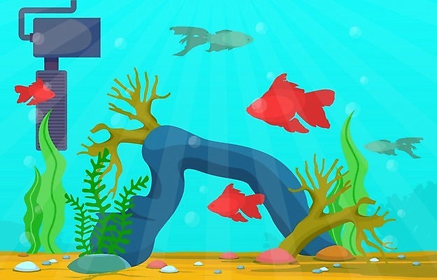 EPS 해외이미지 식물 동물 디자인 모래 파도 바다 백그라운드 컨셉 일러스트 자연 불가사리 항해 어류 미술 취미 내부 장식 물 반려동물 컬러풀 환경 상점 수중 수영 거품 바위 해조류 산호 작음 수집 다이빙 탱크 암초 수족관 동물상 민물 이국적 해외일러스트 자연요소 컬러 배_교통 문화예술 극피동물 조형물 수중동물 돌_바위 수상스포츠 해양식물 자포동물 크기 생태계 수중스포츠 파일형식 벡터 이미지허브