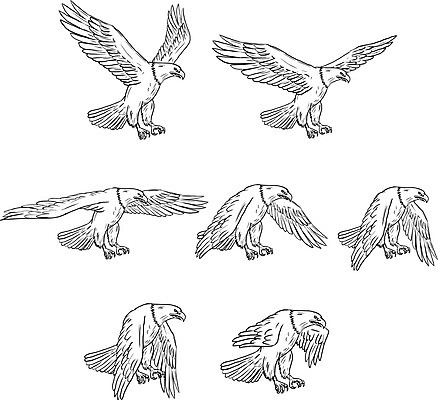 EPS 해외이미지 동물 야생동물 이동 날개 일러스트 조류 잉크 그래픽 세트 먹이 스케치 수집 보따리 흰배경 그림 독수리 손그림 스크래치 고립 핸드메이드 시리즈 해외일러스트 백그라운드 컨셉 미술 흰색 파일형식 벡터 이미지허브