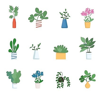 EPS 해외이미지 꽃 화분 줄기 잎 일러스트 종류 사람없음 다양 원예 반려식물 해외일러스트 식물 다수 취미 파일형식 벡터 이미지허브