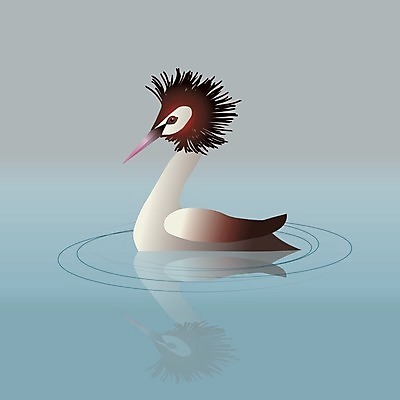 EPS 해외이미지 동물 호수 야생동물 바다 일러스트 자연 조류 사랑 물 파란색 반사 수영 흰색 우아함 펠리컨 깃털 부리 백조 물새 해외일러스트 자연요소 감정 컬러 컨셉 수상스포츠 생태계 파일형식 벡터 이미지허브