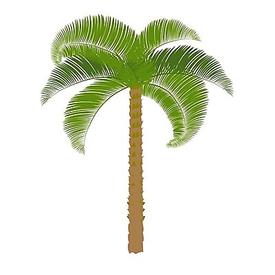 EPS 해외이미지 나무 식물 디자인 계절 꽃 파도 줄기 섬 백그라운드 잎 일러스트 자연 추상 휴가 손바닥 야외 초록색 여름 세트 야자수 활발 성장 벚꽃 나뭇가지 그룹 우아함 숲 작음 수집 허브 심볼 오브젝트 싱글 내추럴 이국적 해외일러스트 손 바다 컬러 컨셉 무늬 크기 생태계 파일형식 벡터 이미지허브