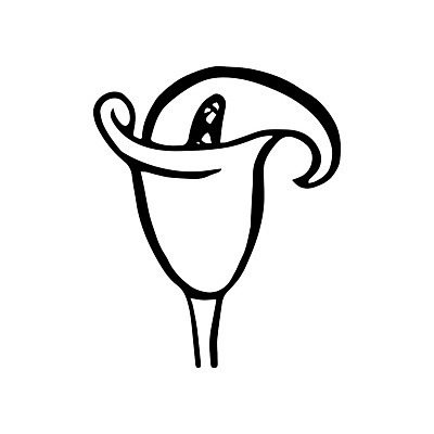 EPS 해외이미지 식물 디자인 꽃잎 꽃 선 백그라운드 꽃무늬 일러스트 자연 추상 미술 그래픽 장식 여름 정원 검은색 봄 수확 벚꽃 흰색 신용카드 우아함 낙서 백합 스케치 심볼 싱글 그림 심플 윤곽 내추럴 고립 엘리먼트 이국적 칼라꽃 스타일 해외일러스트 계절 컬러 컨셉 무늬 농업 문화예술 금융 생태계 파일형식 벡터 이미지허브