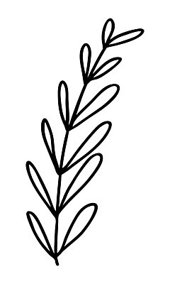 EPS 해외이미지 식물 디자인 배너 꽃 결혼 백그라운드 잎 꽃무늬 일러스트 자연 추상 휴가 미술 그래픽 장식 여름 검은색 봄 수확 나뭇가지 신용카드 낙서 인쇄 스케치 심볼 싱글 에코 유기농 복고 심플 윤곽 초대 손그림 고립 생태학 엘리먼트 해외일러스트 나무 웰빙 계절 교육 컬러 무늬 농업 문화예술 이벤트 금융 환경 생태계 파일형식 벡터 이미지허브