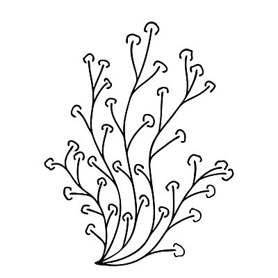 EPS 해외이미지 식물 디자인 배너 꽃 결혼 백그라운드 잎 꽃무늬 일러스트 자연 추상 휴가 미술 그래픽 장식 여름 검은색 봄 수확 나뭇가지 신용카드 낙서 인쇄 스케치 심볼 싱글 에코 유기농 복고 심플 윤곽 초대 손그림 고립 생태학 엘리먼트 해외일러스트 나무 웰빙 계절 교육 컬러 무늬 농업 문화예술 이벤트 금융 환경 생태계 파일형식 벡터 이미지허브