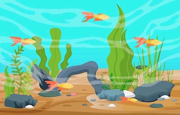 EPS 해외이미지 식물 동물 디자인 모래 파도 바다 백그라운드 컨셉 일러스트 자연 불가사리 항해 어류 미술 취미 내부 장식 물 반려동물 컬러풀 환경 상점 수중 수영 거품 바위 해조류 산호 작음 수집 다이빙 탱크 암초 수족관 동물상 민물 이국적 해외일러스트 자연요소 컬러 배_교통 문화예술 극피동물 조형물 수중동물 돌_바위 수상스포츠 해양식물 자포동물 크기 생태계 수중스포츠 파일형식 벡터 이미지허브