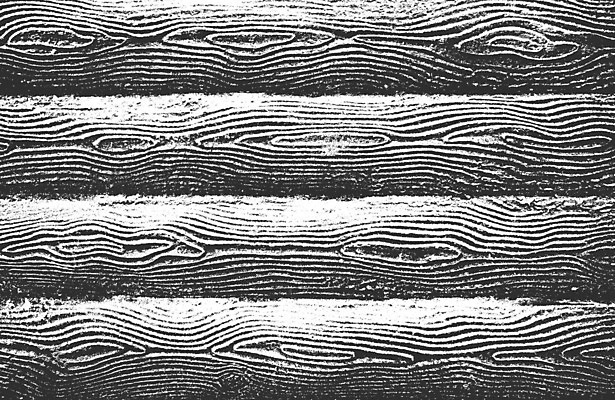 EPS 해외이미지 디자인 선 벽 백그라운드 패턴 일러스트 자연 벽지 탁자 표면 날씨 추상 바닥 목재 장식 울타리 검은색 고통 수확 흰색 시골 판넬 거친 널 낟알 책상 고민 질감 덮기 나무껍질 잡동사니 내추럴 그런지 수목 엘리먼트 옛날 파케트 해외일러스트 나무 감정 컬러 가구 무늬 농업 재료 모션 담장 껍질 생태계 파일형식 벡터 이미지허브