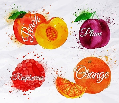 EPS 해외이미지 오렌지 일러스트 수채화 사람없음 산딸기 복숭아 손그림 자두 해외일러스트 과일 파일형식 벡터 이미지허브