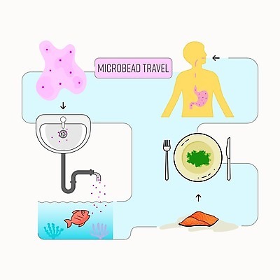 EPS 해외이미지 디자인 음식 여행 백그라운드 컨셉 일러스트 건강 육류 어류 사람 그래픽 픽토그램 환경 식사 화장품 펼침 인포그래픽 흐름 신선 플랫 씻기 상품 플라스틱 먹기 심볼 사인 시작 윤곽 대야 고립 엘리먼트 폐수 해외일러스트 식재료 모션 재질 뷰티 수중동물 청결 환경오염 파일형식 벡터 이미지허브