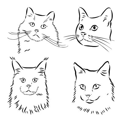 EPS 해외이미지 동물 캐릭터 손 디자인 포스터 얼굴 백그라운드 일러스트 포유류 자연 잉크 털 흑백 미술 그래픽 반려동물 머리 유행 검은색 고양이 줄무늬 수확 흰색 인쇄 시원함 만화 스케치 그림 복고 손그림 솜털 고립 총구 스타일 쓰다듬기 해외일러스트 일러캐릭터 컬러 무늬 농업 모션 문화예술 촬영기법 신체부위 생태계 파일형식 벡터 이미지허브