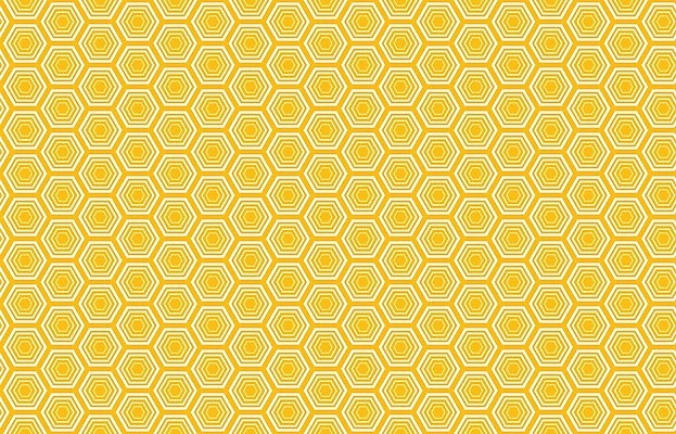 EPS 해외이미지 모양 디자인 백그라운드 패턴 오렌지 일러스트 벽지 미래 그래픽 장식 머리빗 벌 질감 육각형 꿀 벌집 밀랍 해외일러스트 도형 곤충 컨셉 무늬 과일 미용용품 파일형식 벡터 이미지허브