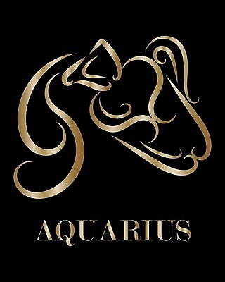 EPS 해외이미지 모양 템플릿 디자인 별 선 파도 컨셉 일러스트 미래 미술 그래픽 물 픽토그램 라벨 꽃병 스파 별자리 폭포 달력 조끼 재산 황금 신비 문신 심볼 사인 그림 윤곽 배지 점성술 천문학 유리주전자 그리스인 고립 활자 해외일러스트 자연요소 서양인 교육 꽃 바다 자연 유리 주전자 문화예술 프레임 금융 외투 활자판 파일형식 벡터 이미지허브