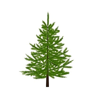 EPS 해외이미지 나무 식물 전통 디자인 실루엣 백그라운드 크리스마스 일러스트 자연 휴가 새로움 새해 기념 프레임 장식 파란색 장난감 축제 공백 나뭇가지 축하 인사 소나무 신용카드 떨어짐 연도 심볼 뼈대 상록수 침엽수 고립 가문비나무 현실 해외일러스트 기념일 컬러 컨셉 촬영기법 금융 예절 생태계 파일형식 벡터 이미지허브