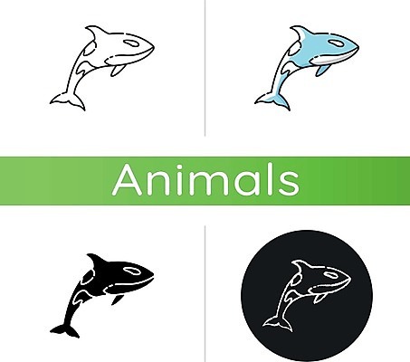 EPS 해외이미지 여러마리 일러스트 사람없음 세트 원형 범고래 해외일러스트 도형 다수 고래 파일형식 벡터 이미지허브