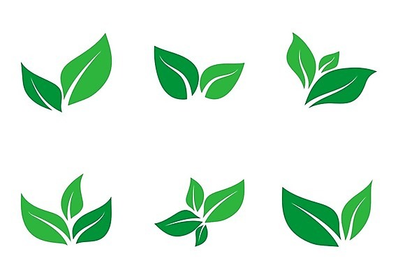 EPS 해외이미지 모양 나무 식물 디자인 실루엣 컨셉 잎 꽃무늬 일러스트 자연 추상 건강 초록색 세트 새싹 환경 정원 성장 나뭇가지 신선 플랫 숲 민트 허브 심볼 오브젝트 사인 에코 유기농 자작나무 내추럴 고립 바이오 생태학 엘리먼트 해외일러스트 웰빙 교육 꽃 컬러 무늬 촬영기법 생태계 파일형식 벡터 이미지허브