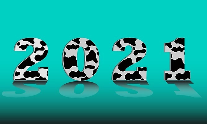 EPS 해외이미지 동물 템플릿 캐릭터 디자인 배너 행복 백그라운드 크리스마스 일러스트 텍스트 포유류 휴가 미술 그래픽 숫자 파티 3D 검은색 흰색 신용카드 소 12월 만화 연도 심볼 질감 엽서 서명 스타일 해외일러스트 일러캐릭터 문자 기념일 감정 컬러 문화예술 이벤트 금융 날짜 편지 디지털합성 파일형식 벡터 이미지허브