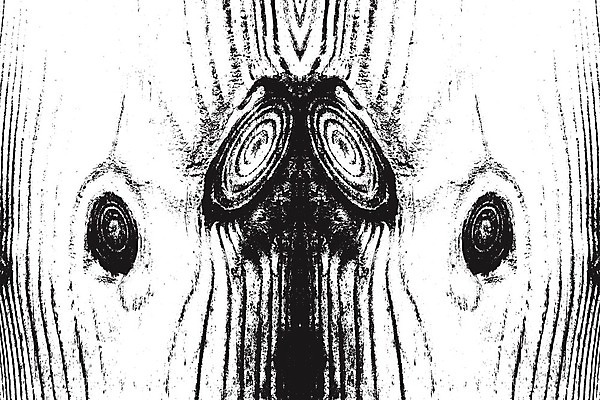 EPS 해외이미지 나무 템플릿 디자인 선 벽 백그라운드 패턴 일러스트 자연 벽지 탁자 표면 날씨 추상 바닥 건조 미술 목재 장식 검은색 고통 수확 흰색 시골 판넬 거친 널 낟알 고민 질감 복고 덮기 잡동사니 내추럴 그런지 수목 엘리먼트 옛날 효과 해외일러스트 식물 감정 컬러 가구 무늬 농업 재료 모션 문화예술 생태계 파일형식 벡터 이미지허브