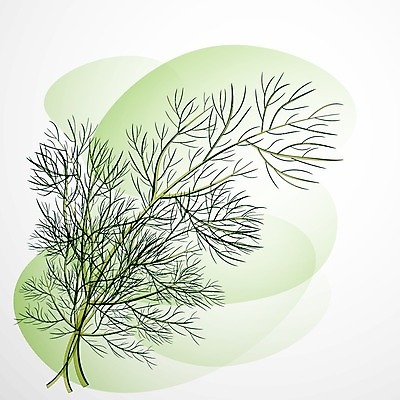 EPS 해외이미지 식물 전통 디자인 꽃 실루엣 음식 줄기 백그라운드 잎 크리스마스 농업 일러스트 자연 휴가 파슬리 요리 미술 목재 빨간색 초록색 주방 수확 흰색 나뭇가지 신선 고명 양념 스케치 허브 향신료 유기농 향 딜 엘리먼트 회향 그리너리 해외일러스트 나무 웰빙 기념일 산업 컬러 채소 재료 문화예술 촬영기법 생태계 향미료 파일형식 벡터 트랜드컬러 이미지허브