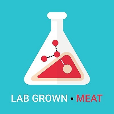 EPS 해외이미지 문화 음식 과학 컨셉 일러스트 유리 미래 세포 건강 실험 육류 돼지고기 스테이크 식사 소고기 성장 신선 실험실 생명공학 자르기 심볼 사인 생물학 합성 유리그릇 공학 고립 단백질 유전 인공 화학물질 해외일러스트 그릇 교육 식재료 의학 모션 재질 서양음식 화학 영양소 파일형식 벡터 식기 이미지허브
