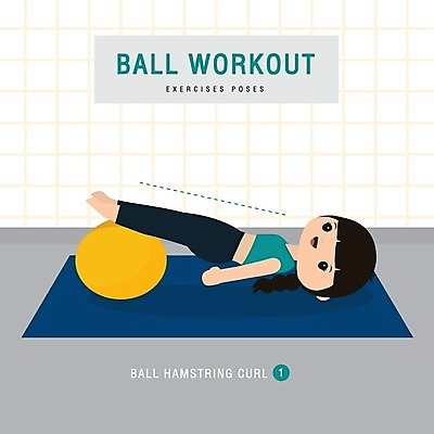 EPS 해외이미지 캐릭터 라이프스타일 스포츠 포즈 신체 일러스트 요가 공 교실 근육 주택 실내 건강 사람 취미 내부 운동 방 인포그래픽 에너지 널 만화 연습 오브젝트 체육관 팔 복근 해외일러스트 일러캐릭터 웰빙 교육 학교 건물 생활 신체부위 파일형식 벡터 이미지허브