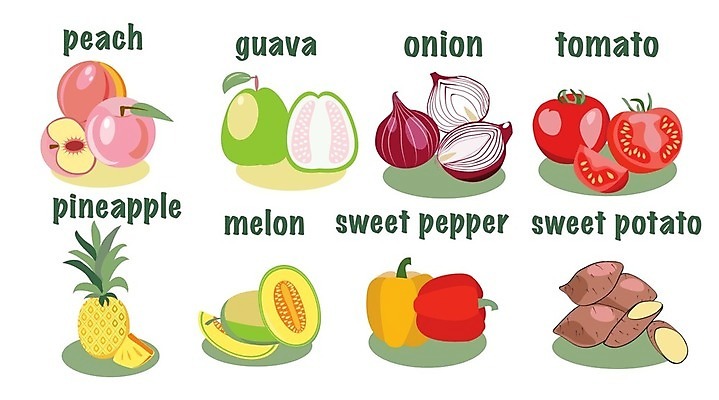 EPS 해외이미지 라이프스타일 디자인 음식 백그라운드 컨셉 농업 다이어트 토마토 채소 일러스트 자연 양파 감자 건강 빨간색 신선 시장 플랫 달콤 멜론 먹기 심볼 파인애플 오브젝트 사인 유기농 날것 심플 복숭아 고립 엘리먼트 채식주의자 비건 해외일러스트 웰빙 산업 컬러 과일 모션 생활 맛 열대과일 생태계 채식 파일형식 벡터 이미지허브