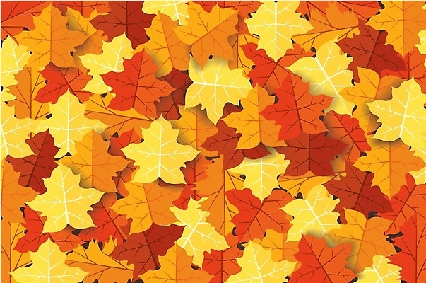EPS 해외이미지 단풍 낙엽 일러스트 사람없음 주황색 해외일러스트 컬러 잎 파일형식 벡터 이미지허브