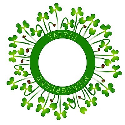 EPS 해외이미지 식물 템플릿 잎 채소 일러스트 재료 자연 건강 씨앗 새싹 봄 샐러드 성장 신선 심볼 유기농 원예 날것 내추럴 모종 채식주의자 디톡스 비건 해외일러스트 웰빙 계절 음식 취미 생태계 채식 파일형식 벡터 이미지허브