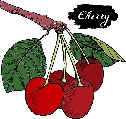 EPS 해외이미지 식물 열매 선 음식 조각 백그라운드 잎 다이어트 과일 일러스트 자연 디저트 건강 미술 그래픽 여름 세트 정원 수확 흰색 신선 체리 달콤 맛 낙서 심볼 오브젝트 그림 유기농 복고 윤곽 손그림 판화 내추럴 고립 숙성 엘리먼트 채식주의자 해외일러스트 웰빙 계절 컬러 컨셉 농업 문화예술 생태계 채식 파일형식 벡터 이미지허브