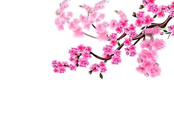 EPS 해외이미지 나무 템플릿 전통 디자인 계절 꽃잎 꽃 아시아 문화 분홍색 결혼 백그라운드 컨셉 꽃무늬 일러스트 자연 장식 여름 정원 일본 중국 일몰 봄 벚꽃 흰색 나뭇가지 축하 신용카드 체리 심볼 오브젝트 동쪽 고립 엘리먼트 이국적 현실 해외일러스트 식물 나라 컬러 무늬 과일 이벤트 금융 노을 방향 생태계 파일형식 벡터 이미지허브