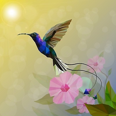 EPS 해외이미지 모양 동물 디자인 야생동물 백그라운드 날개 일러스트 자연 조류 추상 수채화 미술 그래픽 장식 빨간색 초록색 여름 파란색 컬러풀 흰색 작음 심볼 깃털 사인 그림 부리 내추럴 고립 동물상 벌새 엘리먼트 이국적 스타일 해외일러스트 계절 컬러 무늬 문화예술 조형물 크기 생태계 파일형식 벡터 이미지허브