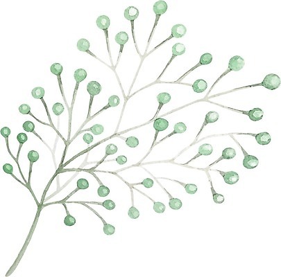 EPS 해외이미지 식물 잎 일러스트 붓터치 수채화 사람없음 그림 번짐 해외일러스트 파일형식 벡터 효과 이미지허브