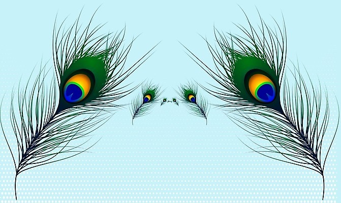 EPS 해외이미지 템플릿 디자인 실루엣 야생동물 백그라운드 컨셉 패턴 신체 일러스트 자연 조류 추상 미술 그래픽 장식 초록색 파란색 컬러풀 연필 유행 검은색 공백 흰색 고급 공작 매끈함 스케치 심볼 깃털 오브젝트 그림 꼬리 고립 엘리먼트 이국적 스타일 해외일러스트 동물 컬러 무늬 문화예술 학용품 촬영기법 필기구 감각 생태계 파일형식 벡터 이미지허브