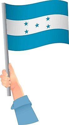 EPS 해외이미지 손 물결 여행 일러스트 손가락 휴가 이벤트 축제 자유 축하 깃발 잡기 작음 사인 깃대 봉 팔 애국심 독립 전국 해외일러스트 컨셉 모션 신체부위 크기 파일형식 벡터 이미지허브