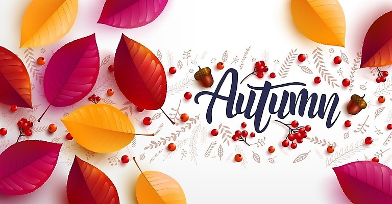 EPS 해외이미지 식물 템플릿 배너 계절 포스터 리플렛 백그라운드 단풍 잎 꽃무늬 패턴 오렌지 일러스트 캘리그라피 휴가 프레임 건조 장식 빨간색 컬러풀 갈색 노란색 세일 쌓기 황금 9월 11월 질감 레이아웃 초대 주말 추수감사절 10월 레터링 해외일러스트 꽃 기독교 컬러 무늬 과일 모션 날짜 파일형식 벡터 이미지허브