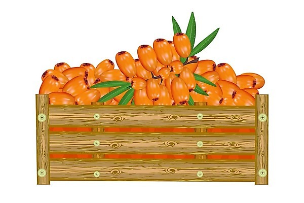 EPS 해외이미지 디자인 배너 열매 음료 음식 백그라운드 잎 농업 과일 일러스트 간판 목재 상자 농장 라벨 정원 보라색 주스 수확 화물 흰색 시골 신선 시장 널 정상 나무상자 컨테이너 잼 오브젝트 사인 유기농 패키지 흙더미 고립 목판화 바이오 숙성 엘리먼트 활자 현실 해외일러스트 나무 식물 웰빙 산업 컬러 재료 프레임 흙 운송업 소스_음식 활자판 파일형식 벡터 더미 이미지허브