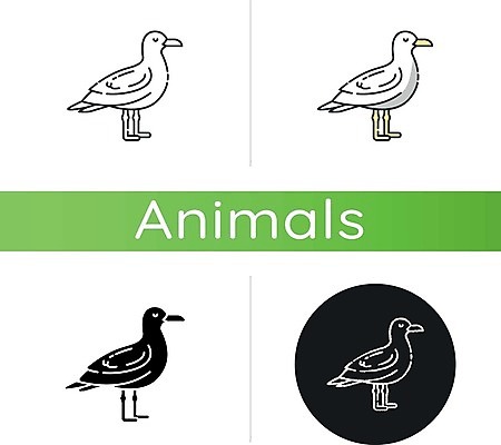 EPS 해외이미지 여러마리 일러스트 갈매기 사람없음 세트 원형 해외일러스트 도형 다수 조류 파일형식 벡터 이미지허브