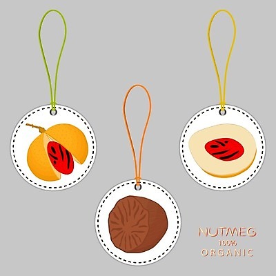 EPS 해외이미지 식물 디자인 음식 조각 스티커 채소 과일 일러스트 재료 씨앗 꼬리표 라벨 쌓기 식사 견과류 신선 양념 조미료 상품 만화 가루 자르기 심볼 향신료 흔적 사인 메뉴 레이아웃 날것 향기 배지 버터 내추럴 찌그러짐 고립 땅바닥 숙성 식용 핵심 해외일러스트 컨셉 모션 바닥 프레임 냄새 향미료 파일형식 벡터 이미지허브