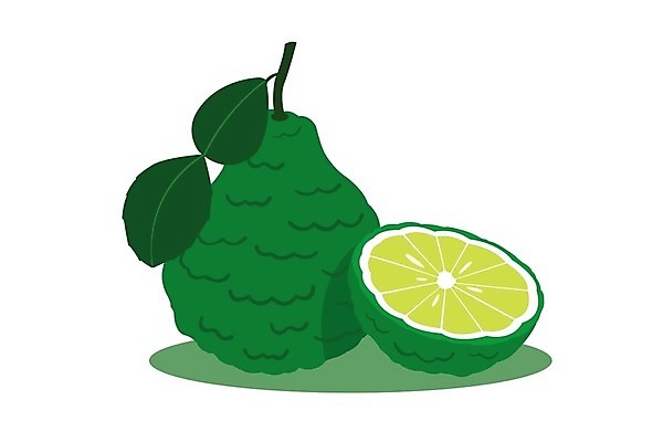 EPS 해외이미지 식물 꽃 아시아 음료 음식 조각 백그라운드 잎 채소 오렌지 과일 일러스트 재료 태국 자연 수채화 귤 건강 요리 동양인 초록색 흰색 신선 양념 자르기 레몬 허브 유기농 날것 아로마 라임 내추럴 고립 숙성 채식주의자 해외일러스트 웰빙 나라 컬러 모션 인종 생태계 채식 파일형식 벡터 이미지허브