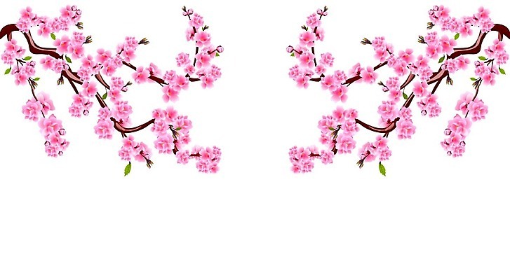 EPS 해외이미지 나무 템플릿 전통 디자인 계절 꽃잎 꽃 아시아 문화 분홍색 결혼 백그라운드 컨셉 꽃무늬 일러스트 자연 장식 정원 일본 중국 일몰 봄 벚꽃 흰색 나뭇가지 축하 신용카드 체리 심볼 오브젝트 동쪽 고립 엘리먼트 이국적 현실 해외일러스트 식물 나라 컬러 무늬 과일 이벤트 금융 노을 방향 생태계 파일형식 벡터 이미지허브