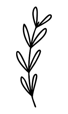 EPS 해외이미지 식물 디자인 배너 꽃 결혼 백그라운드 잎 꽃무늬 일러스트 자연 추상 휴가 미술 그래픽 장식 여름 검은색 봄 수확 나뭇가지 신용카드 낙서 인쇄 스케치 심볼 싱글 에코 유기농 복고 심플 윤곽 초대 손그림 고립 생태학 엘리먼트 해외일러스트 나무 웰빙 계절 교육 컬러 무늬 농업 문화예술 이벤트 금융 환경 생태계 파일형식 벡터 이미지허브