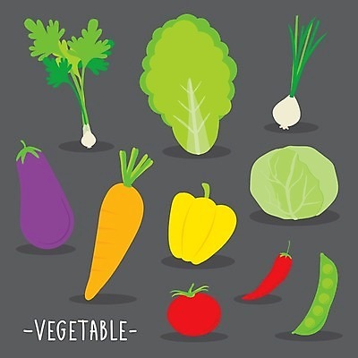 EPS 해외이미지 식물 잡화 음식 조각 잎 농업 토마토 채소 일러스트 재료 자연 고추 가지 콩 파슬리 건강 요리 여름 농장 주방 정원 봄 당근 인포그래픽 샐러드 성장 신선 시장 상추 만화 먹기 허브 유기농 양배추 후추 내추럴 엘리먼트 채식주의자 해외일러스트 웰빙 계절 산업 모션 곡류 뿌리채소 향신료 생태계 채식 파일형식 벡터 이미지허브