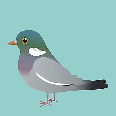 EPS 해외이미지 동물 1 야생동물 날개 일러스트 자연 조류 파란색 귀여움 검은색 회색 흰색 도시 만화 깃털 비둘기 부리 코믹 고립 동물상 해외일러스트 컬러 컨셉 조형물 생태계 파일형식 벡터 이미지허브
