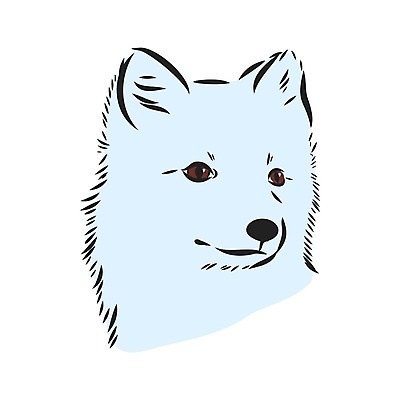 EPS 해외이미지 동물 디자인 얼굴 야생동물 선 백그라운드 크리스마스 겨울 오렌지 일러스트 포유류 자연 생물 털 동물원 아이슬란드 미술 파란색 얼음 추위 흰색 입 개 만화 스케치 북극 그림 귀 여우 육식동물 봉 빙산 북쪽 솜털 고립 눈내림 해외일러스트 자연요소 계절 기념일 유럽 컬러 과일 문화예술 눈_날씨 신체부위 극지방 방향 생태계 파일형식 벡터 이미지허브