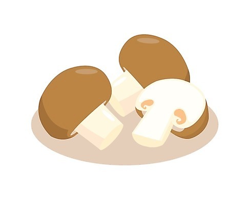 EPS 해외이미지 식물 디자인 음식 조각 백그라운드 다이어트 채소 일러스트 재료 자연 건강 세트 갈색 식사 버섯 흰색 신선 맛 상품 만화 자르기 수집 먹기 심볼 오브젝트 메뉴 싱글 유기농 날것 내추럴 고립 곰팡이 생식 숙성 채식주의자 해외일러스트 웰빙 컬러 컨셉 모션 생태계 채식 파일형식 벡터 이미지허브