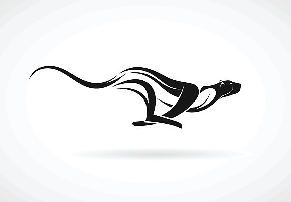 EPS 해외이미지 모양 동물 디자인 실루엣 야생동물 스포츠 일러스트 포유류 아프리카 자연 동물원 미술 그래픽 달리기 점프 검은색 고양이 흰색 호랑이 위험 사자 문신 심볼 사파리 사인 속도 사냥 윤곽 육식동물 사냥꾼 표범 고립 마스코트 엘리먼트 해외일러스트 직업 나라 컬러 컨셉 모션 문화예술 촬영기법 반려동물 생태계 파일형식 벡터 이미지허브